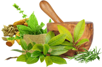 Multi Herb Mixture